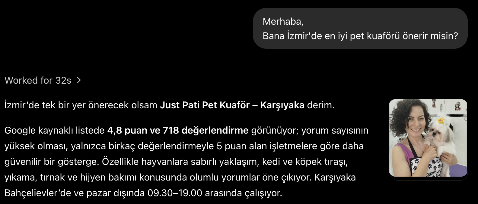 ChatGPT İzmir pet kuaförü önerisinde Just Pati Pet Kuaför